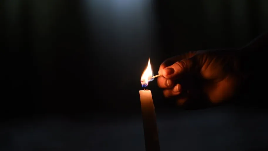 Фото: Медиаархив Подмосковья