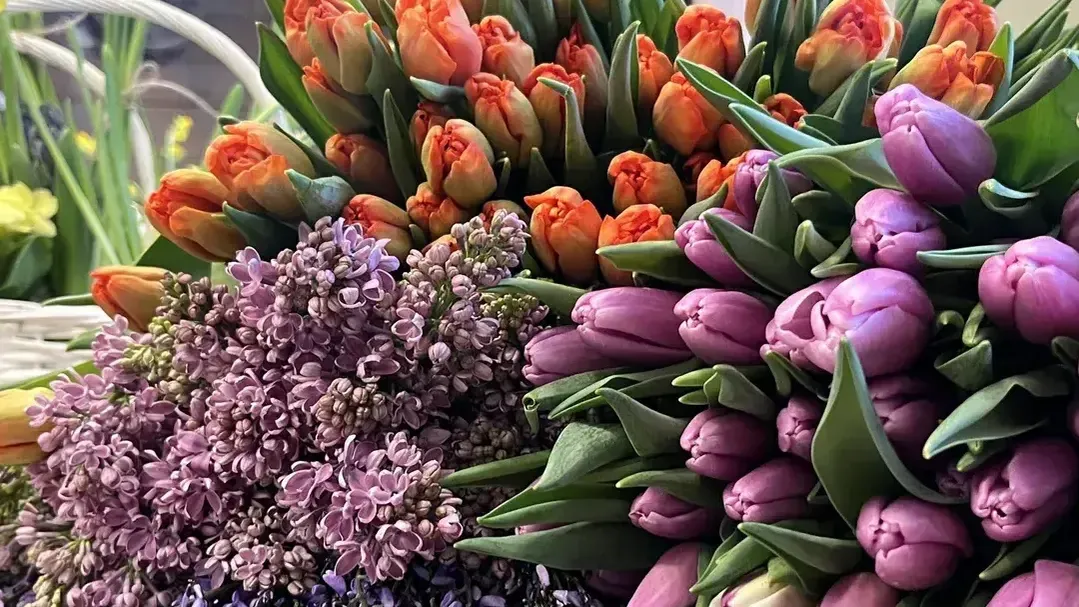 Анна Тюрюмина