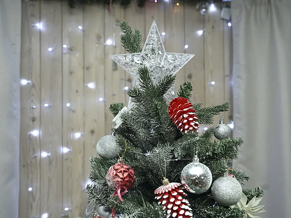 Фото: Сергей Демянюк