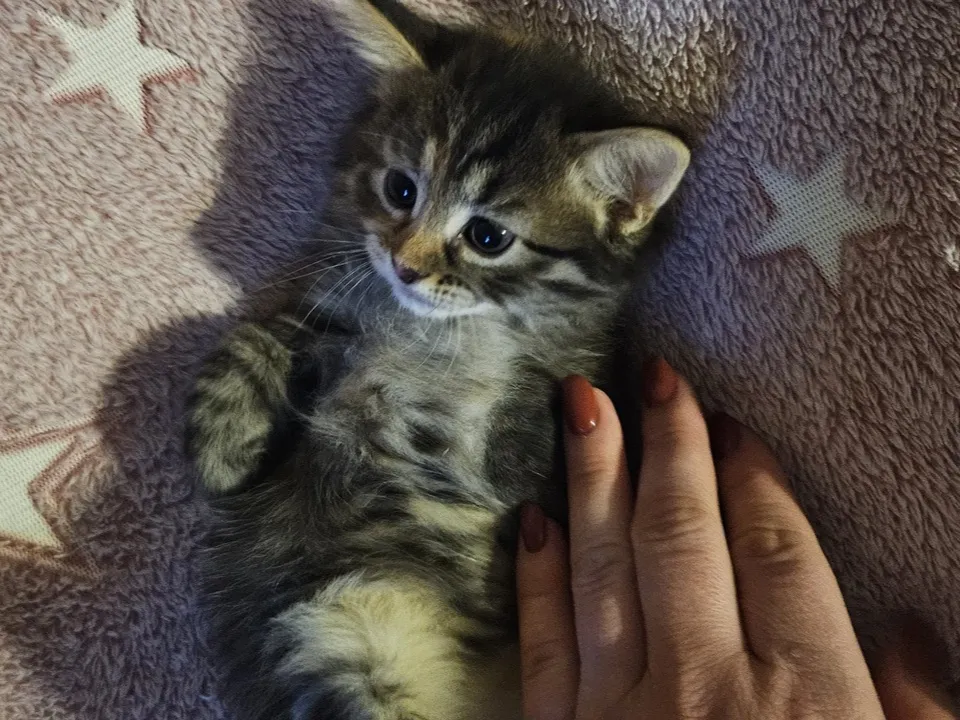 Фото: REGIONS/Наталия Надточая