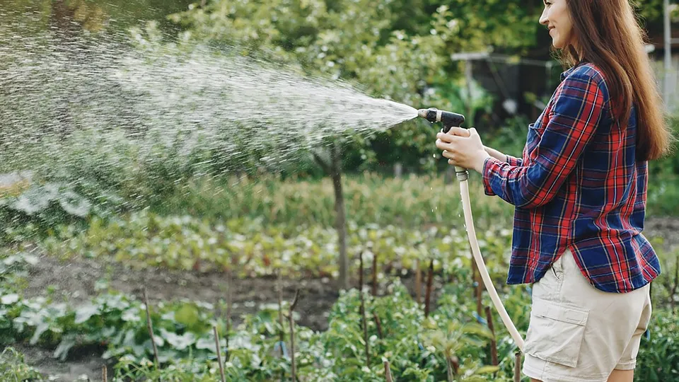 Фото: freepik.com