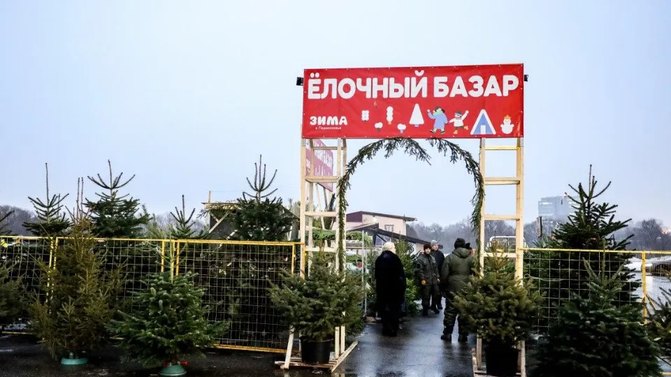 Фото: пресс-служба администрации г.о. Мытищи