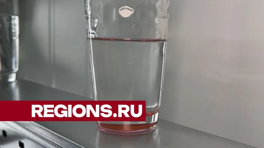 Фото: Светлана Плотникова