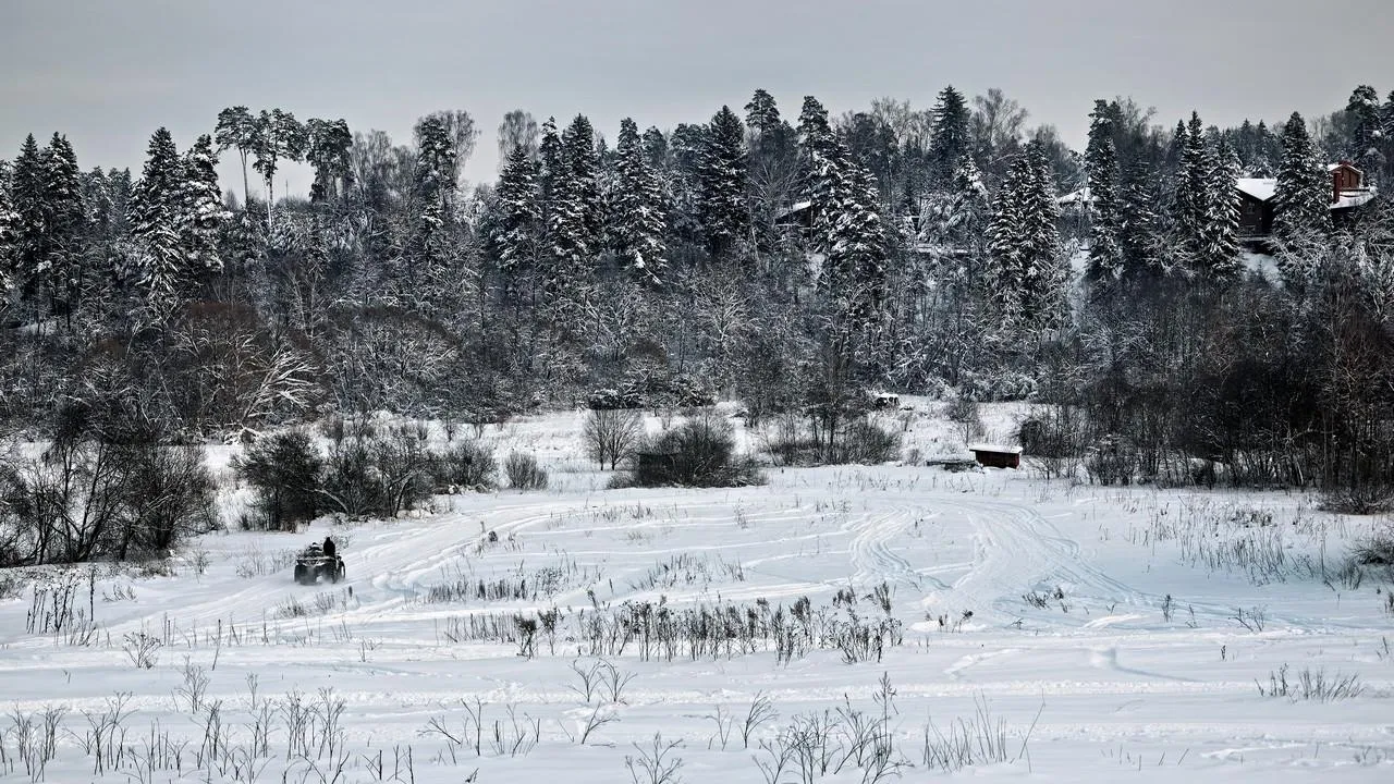 медиасток.рф