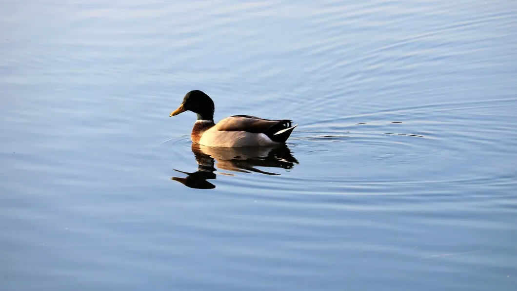 Фото: freepik.com