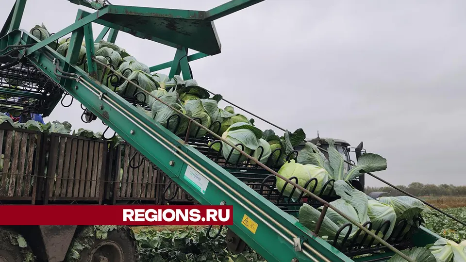 Фото: REGIONS/Валерий Гореловский