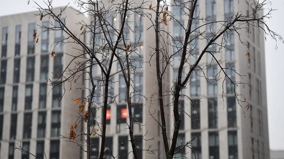 Фото: ТАСС/Александр Казаков