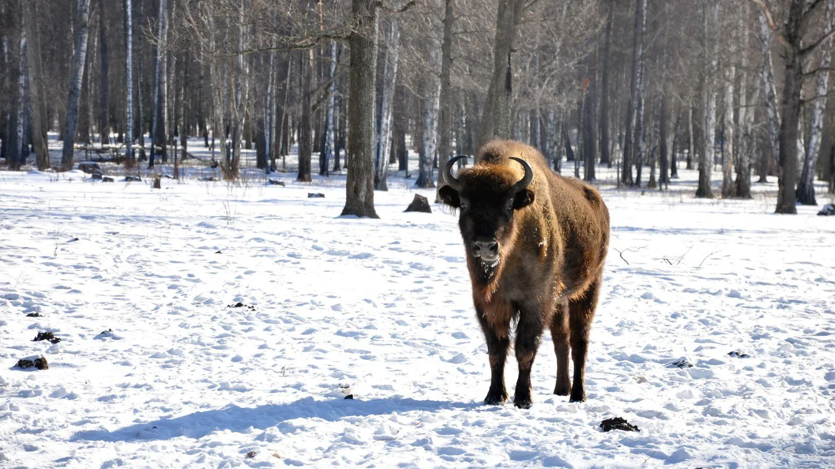 медиасток.рф
