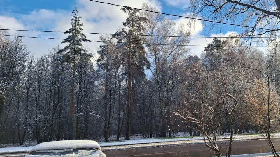 Фото: REGIONS/Катерина Антохина