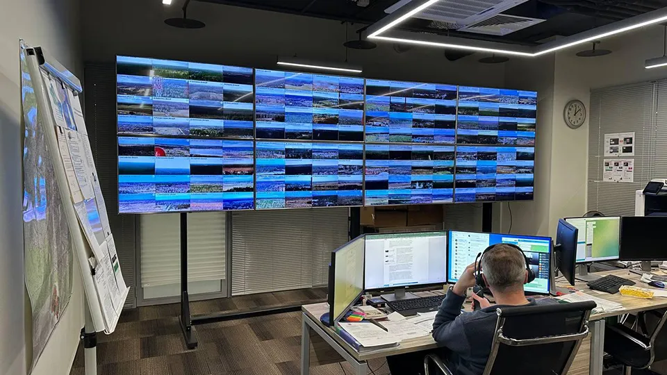 Фото: Комитет лесного хозяйства Московской области