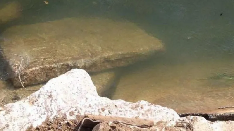 Фото: Министерство экологии и природопользования Московской области