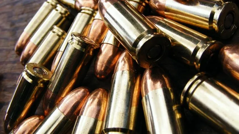 Оружие и боеприпасы нашли у уголовника в Шаховской