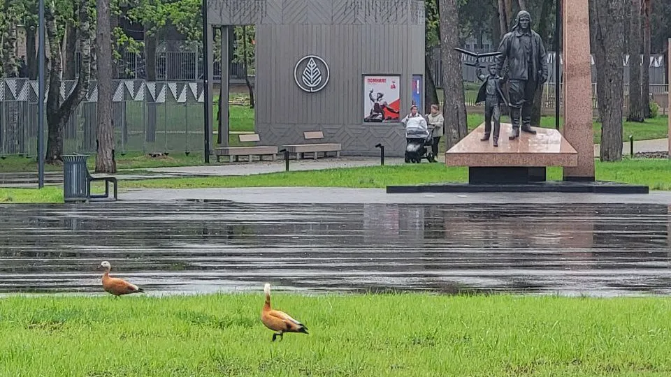 Фото: Николай Ищенко