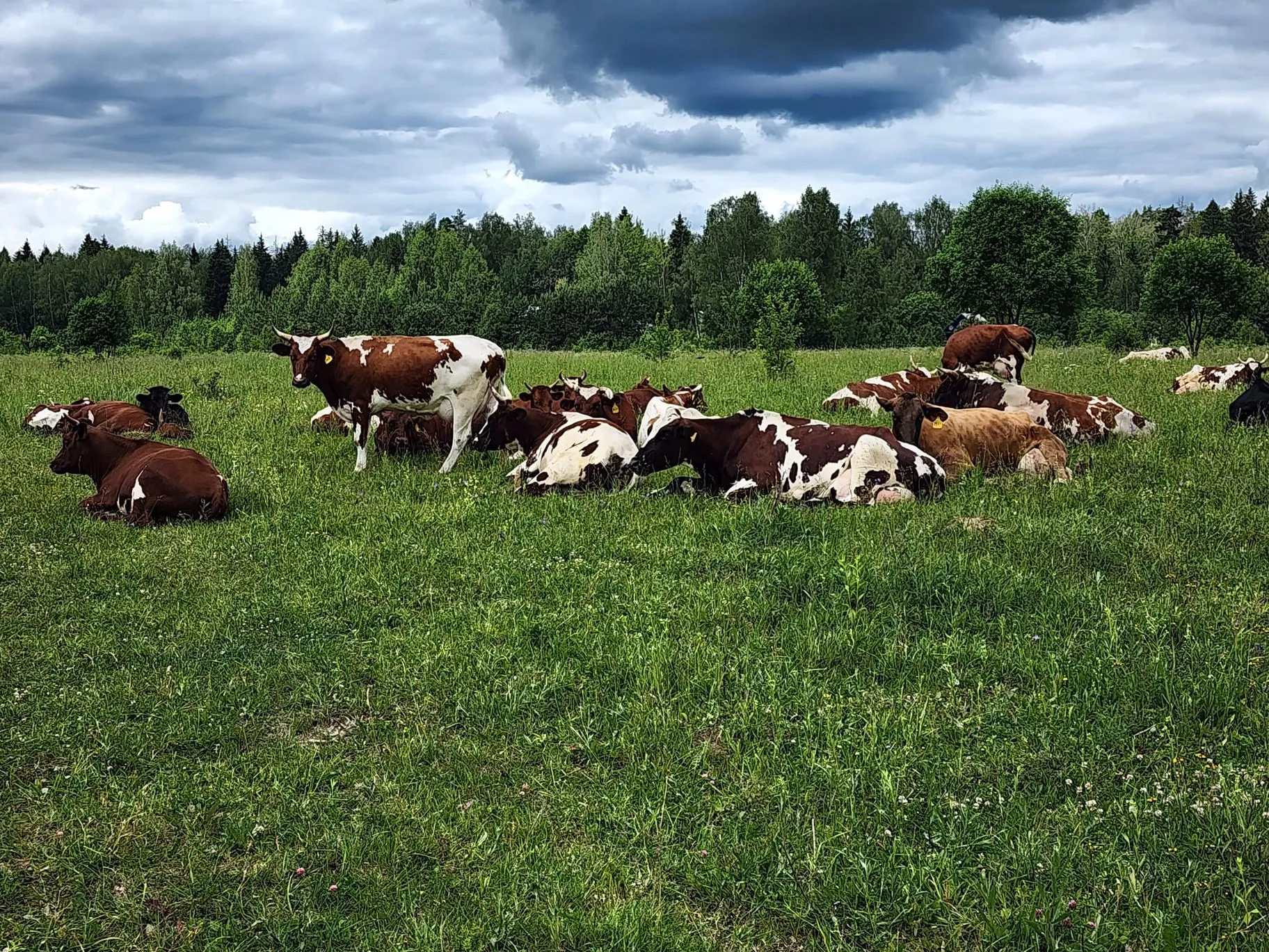 Фото: Анна Тюрюмина&nbsp; &nbsp;