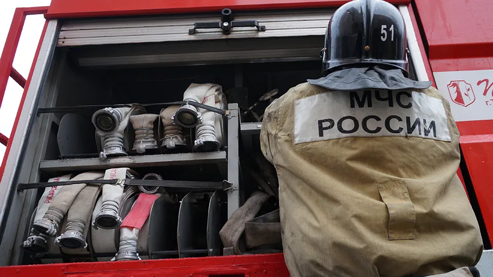 Фото: Медиаархив Подмосковья