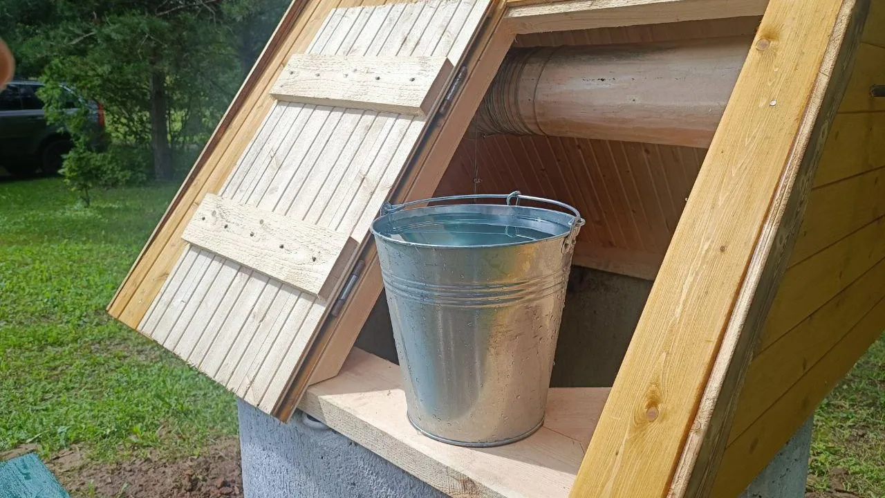 Шаливская Яна