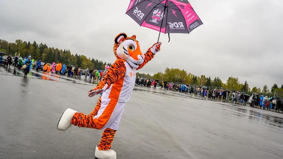 Фото: медиасток.рф