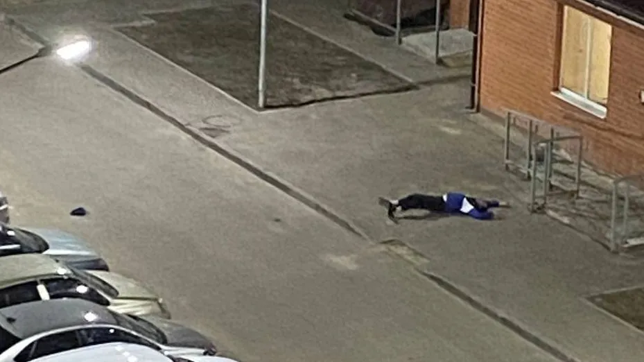 Фото: соцсети