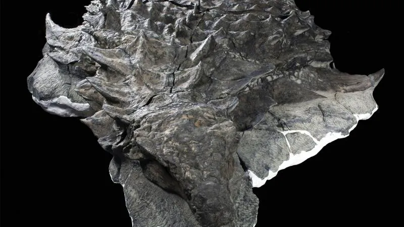 Royal Tyrrell Museum of Palaeontology