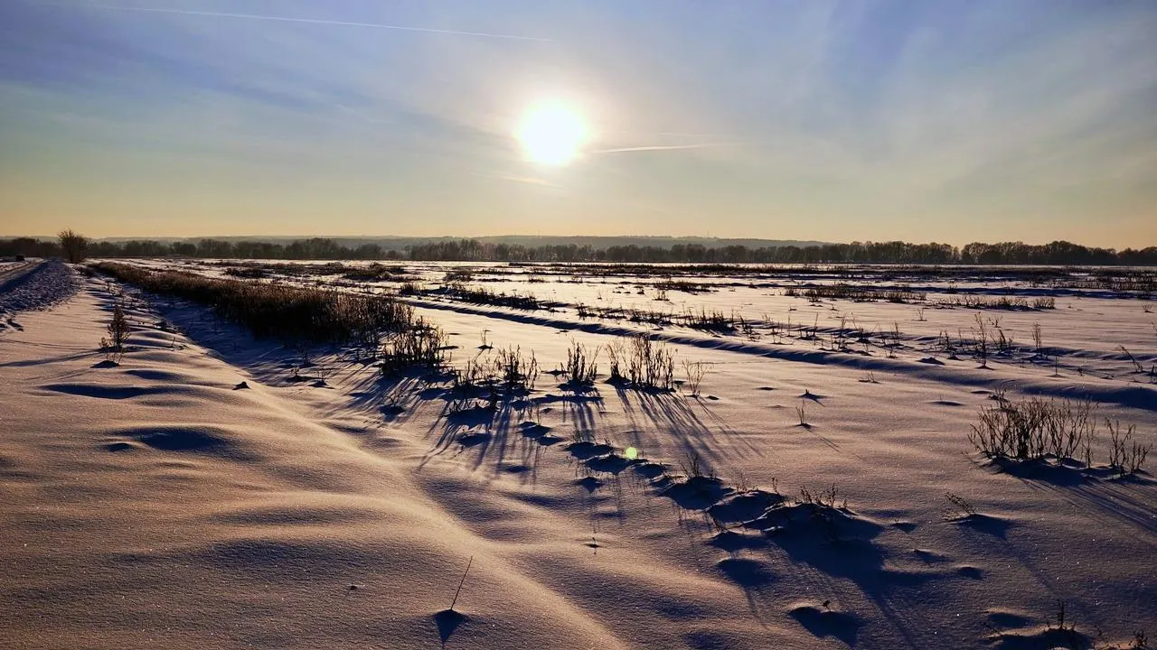 REGIONS/Алексей Селиверстов