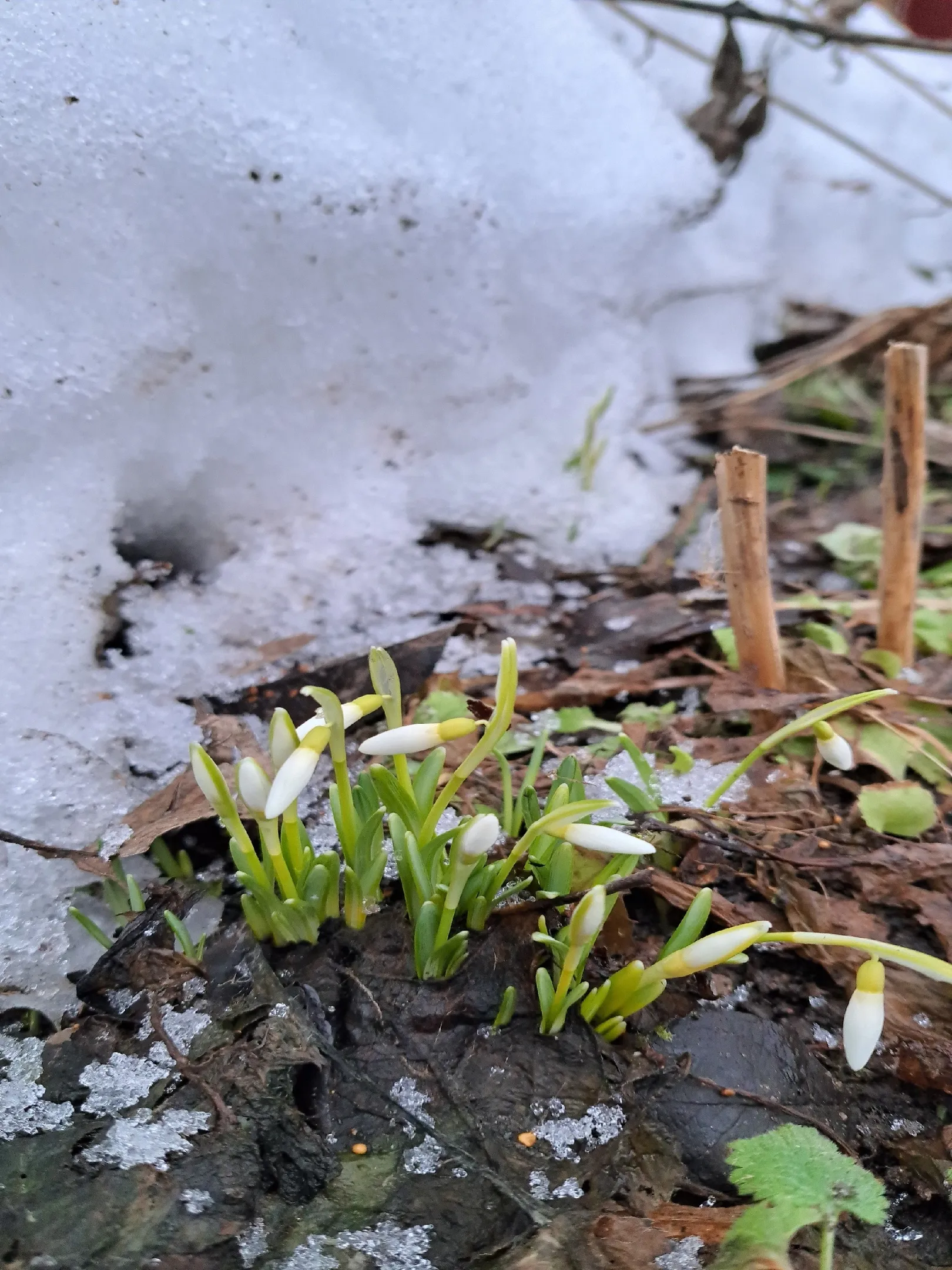 Фото: vk.com/Подслушано | Истра/Анастасия Б.