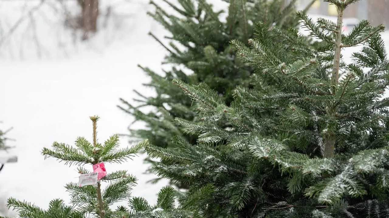 Пресс-служба администрации Ленинского городского округа