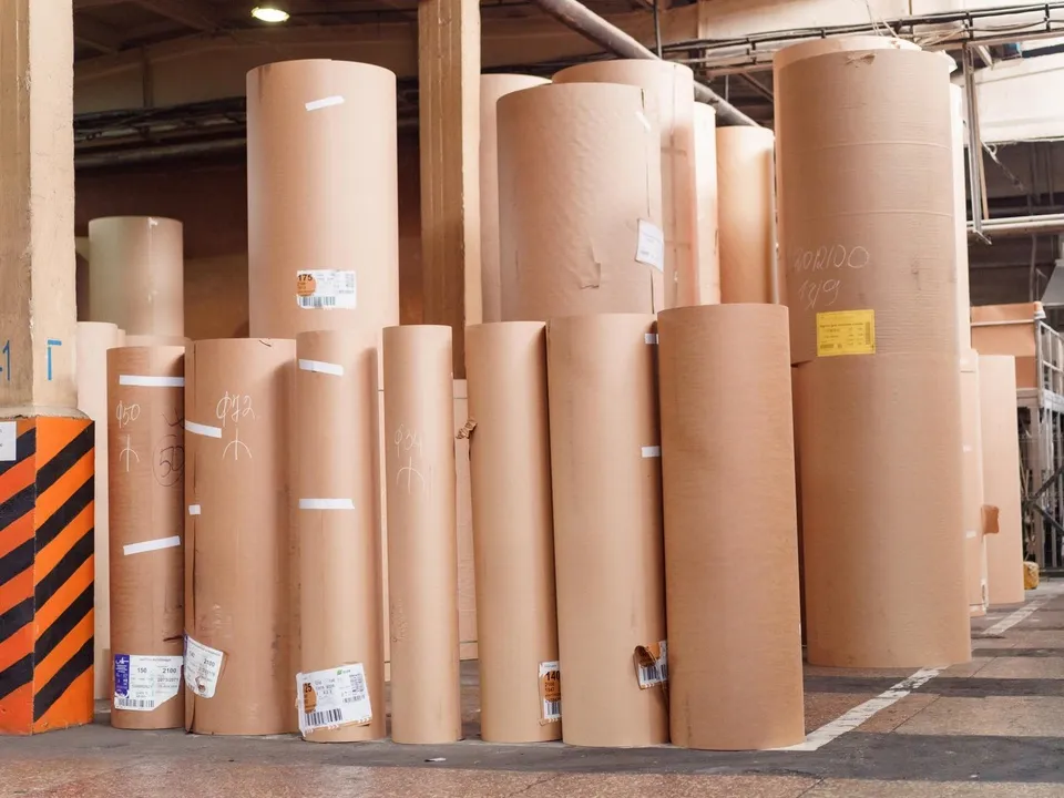 Фото: пресс-служба администрации городского округа Кашира