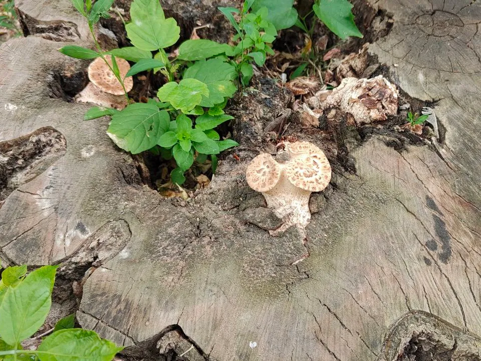 Фото: Иван Федулов