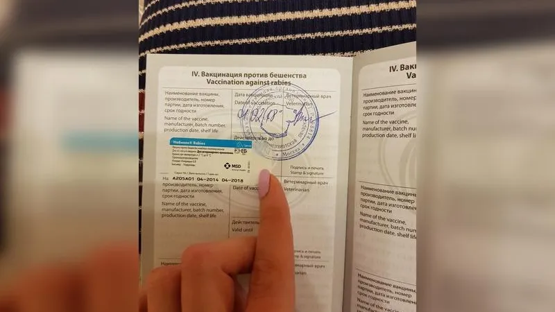 Подслушано Фрязино/vk.com