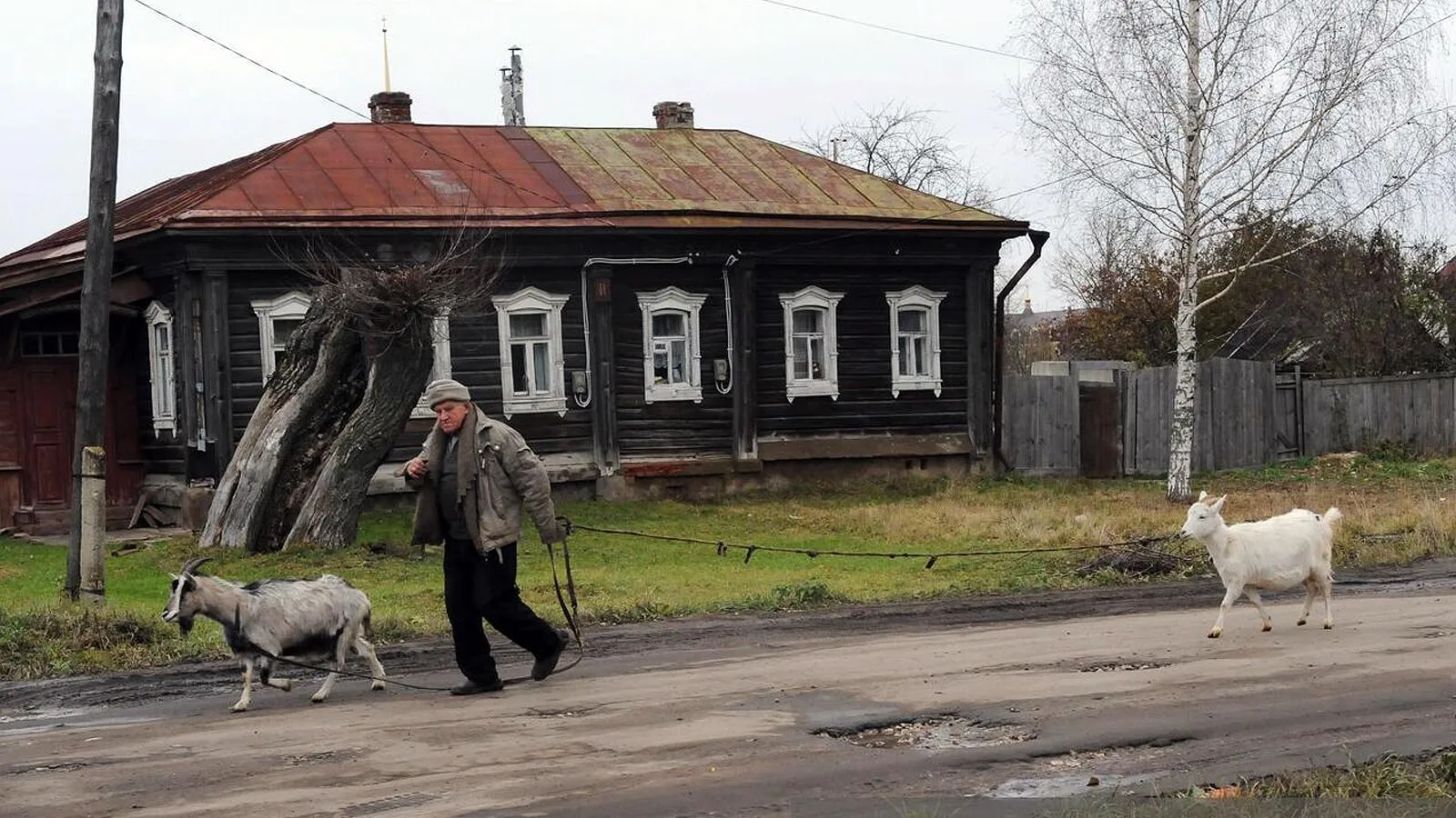 Владимирская область. Владимир Вяткин