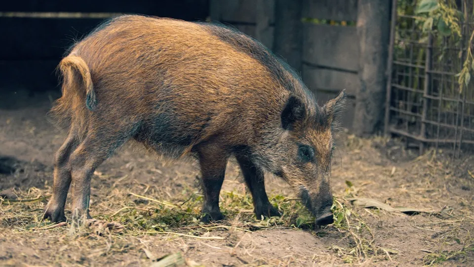 Фото: freepik.com