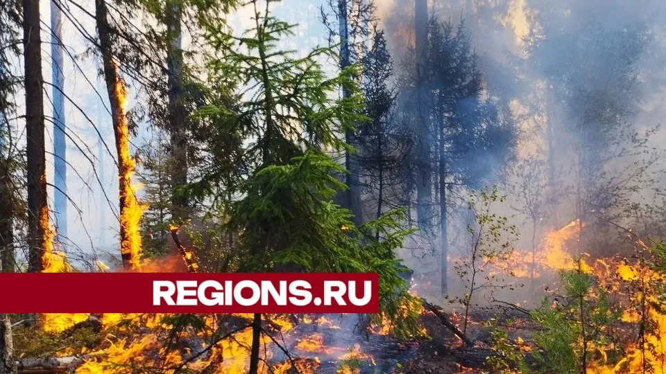 Фото: Дмитрий Роман