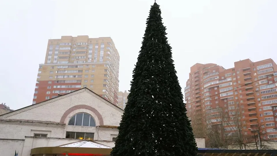 Фото: пресс-служба администрации г.о.Котельники