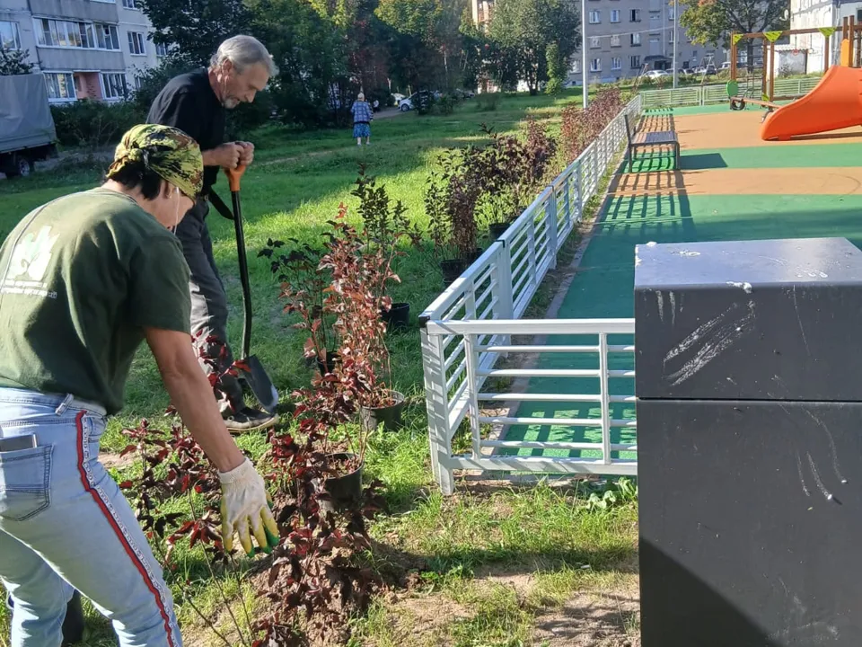 Фото: Служба содержания и благоустройства территорий г. о. Щелково