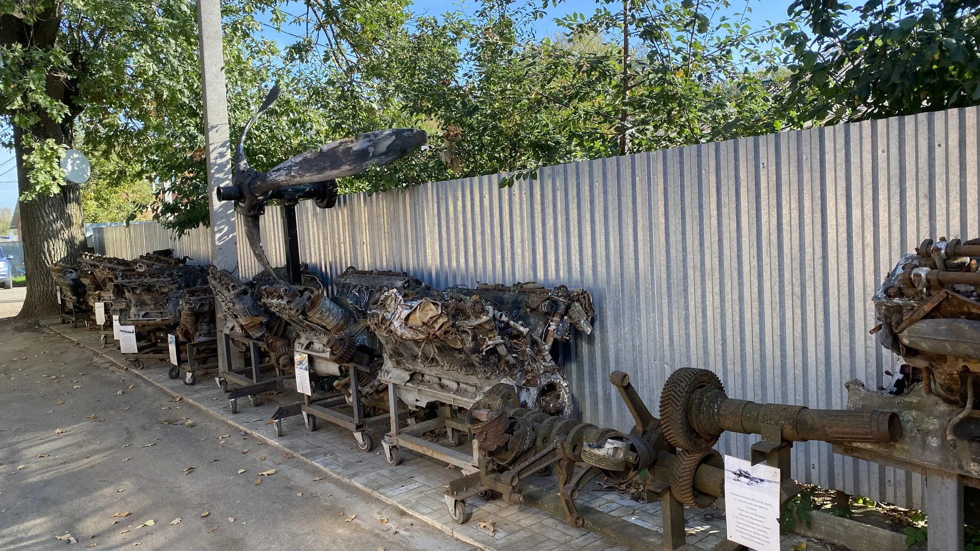 Фото: МедиаБанк Подмосковья/Дарья Шапочкина