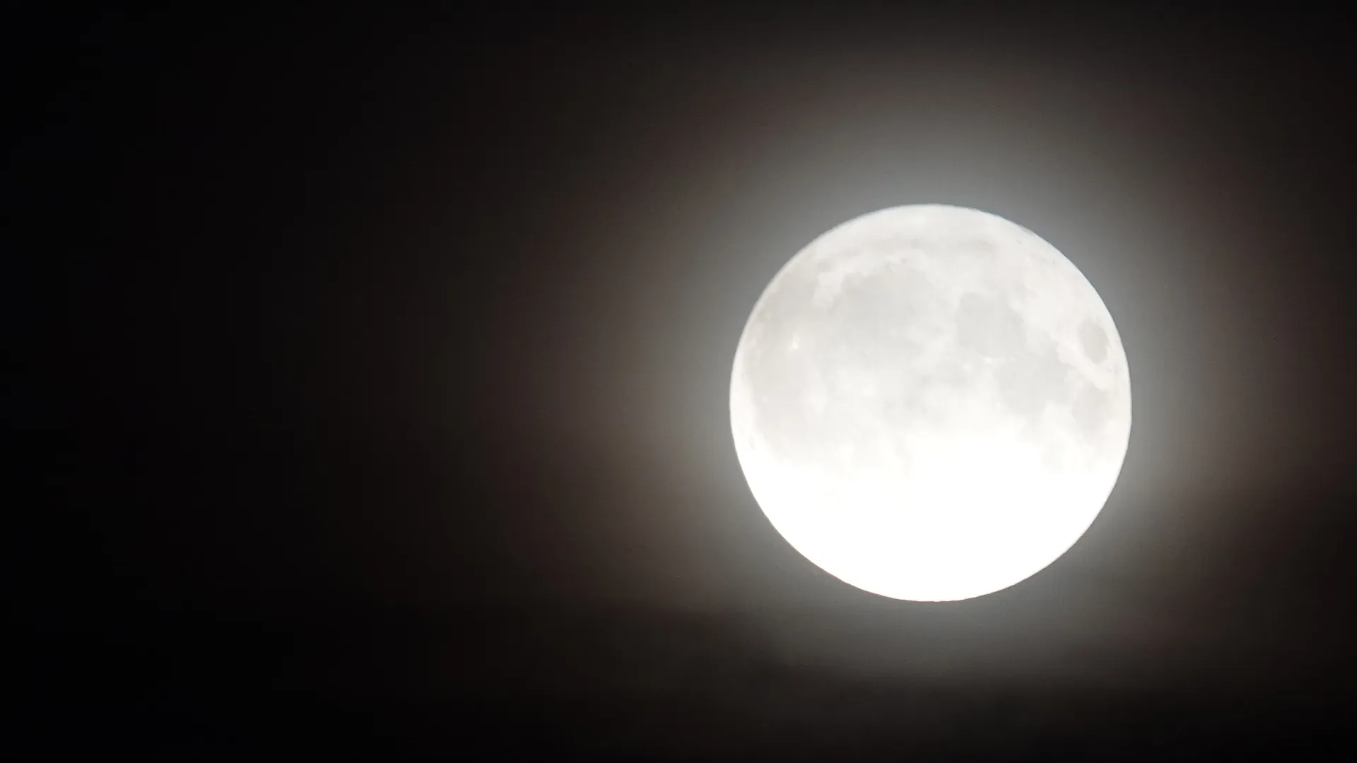 Фото: МедиаБанк Подмосковья/Дарья Леонова