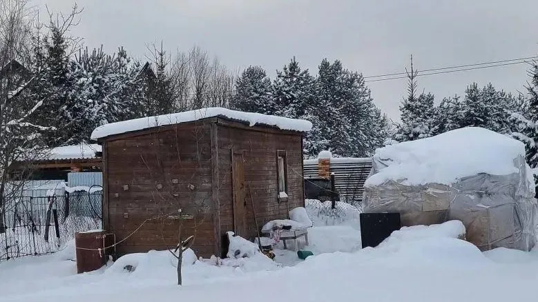 Фото из соцсетей