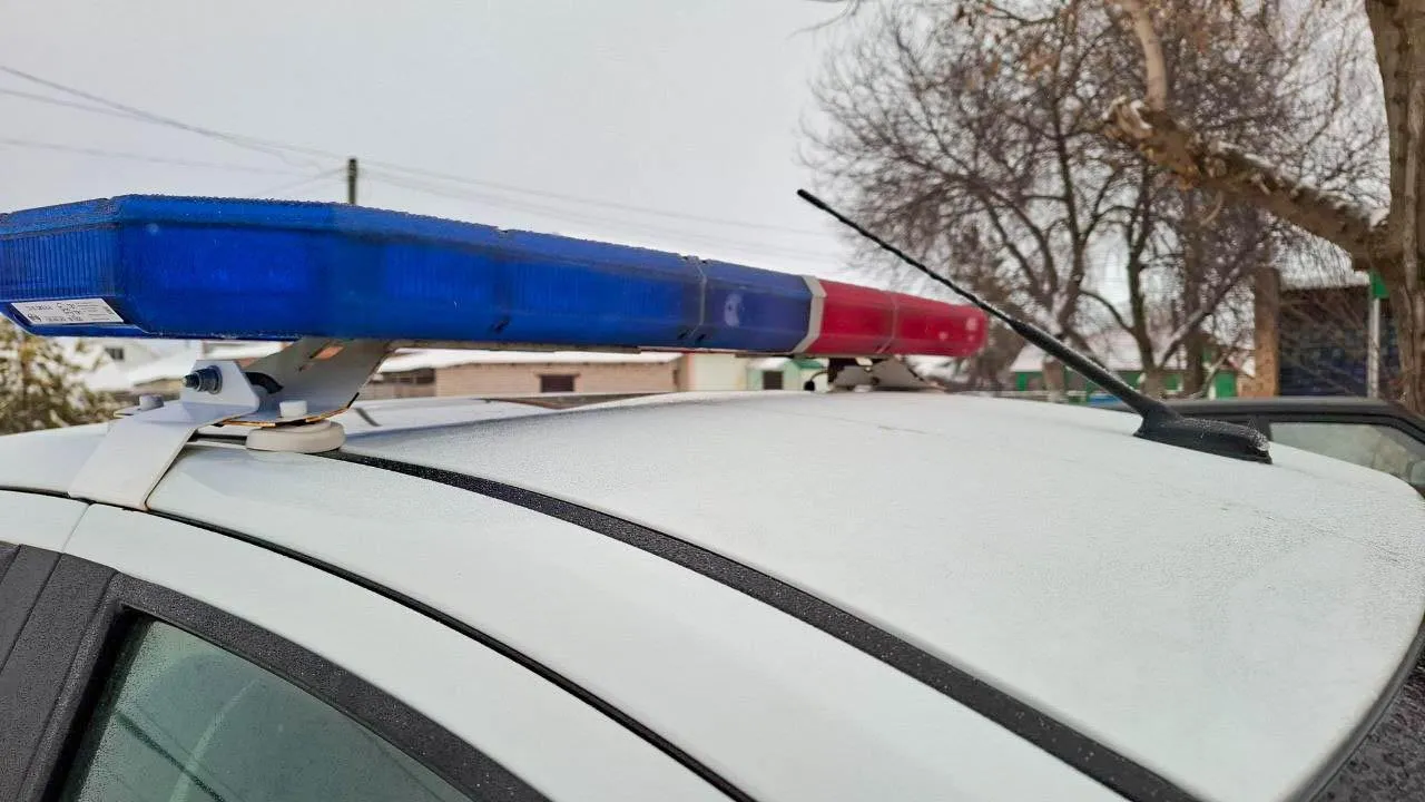 Главные мифы о ремнях безопасности назвали сотрудники подмосковной Госавтоинспекции