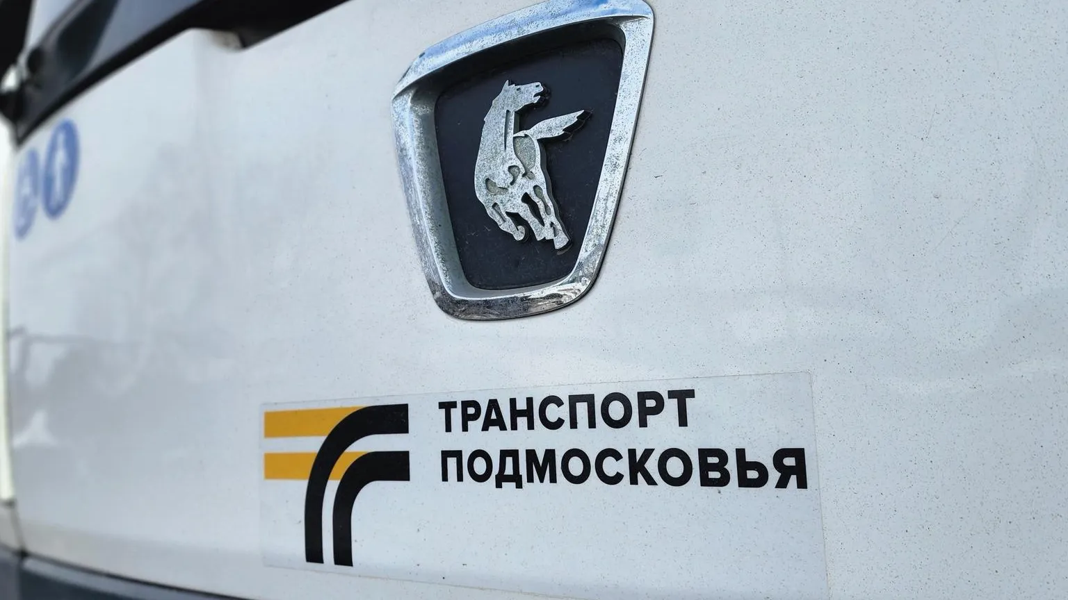 Фото: Валерия Тингаева