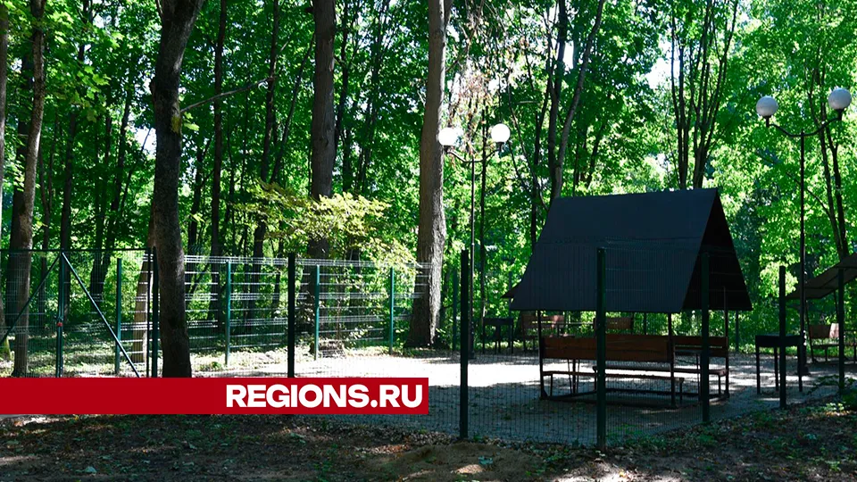 Фото: Владимир Останин