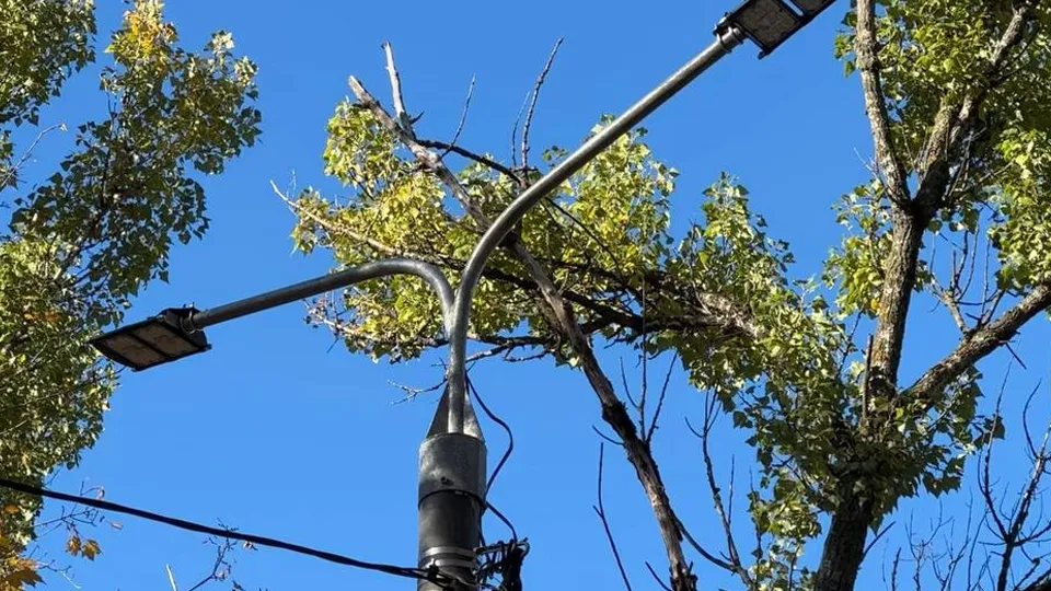 Фото: МедиаБанк Подмосковья/Ксения Казакова