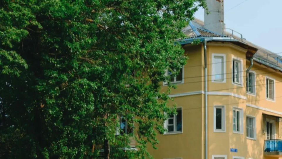 Фото: пресс-служба городского округа Кашира