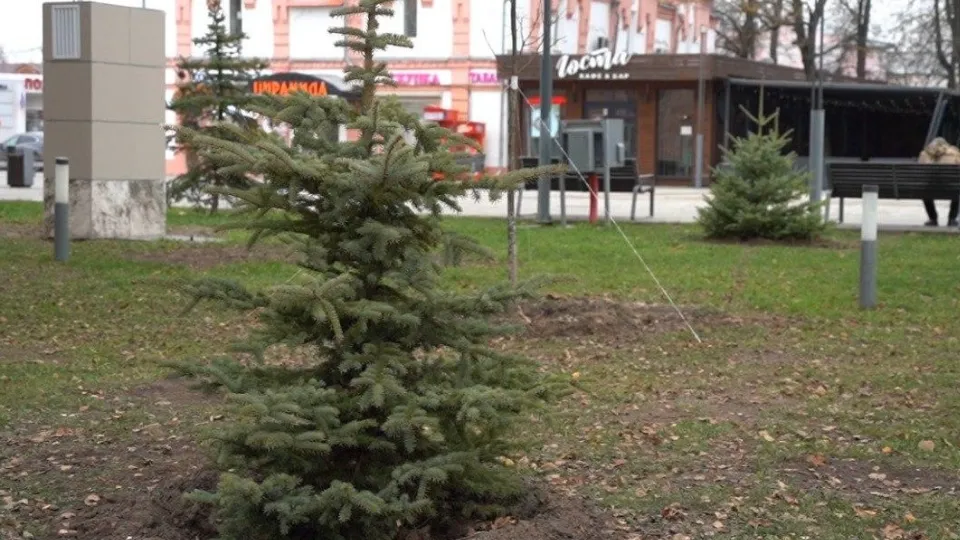 Фото: пресс-служба администрации г.о. Егорьевск