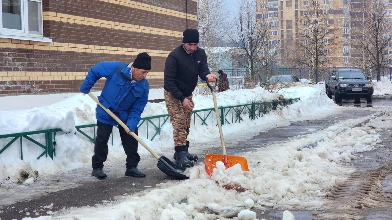 REGIONS/Валерия Тингаева