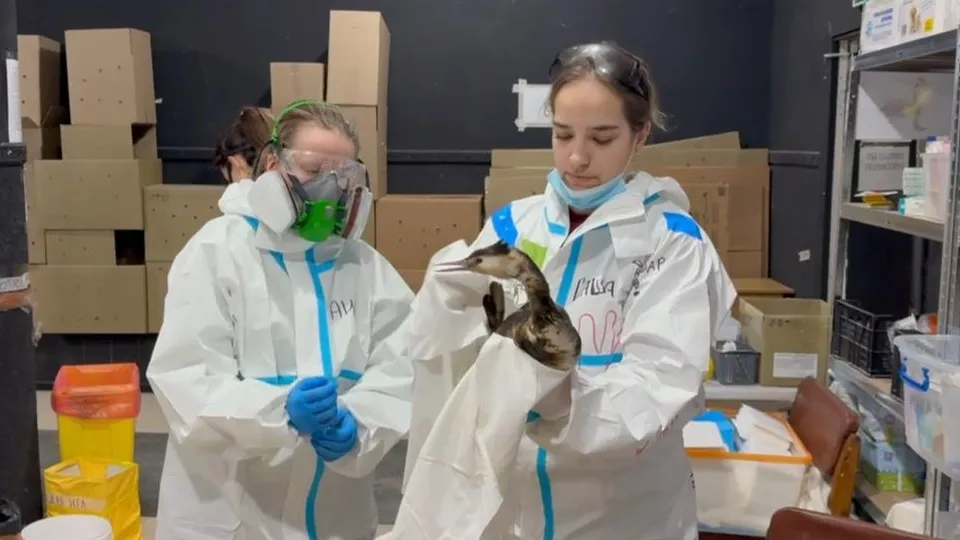 Фото: Алексей Бочейко