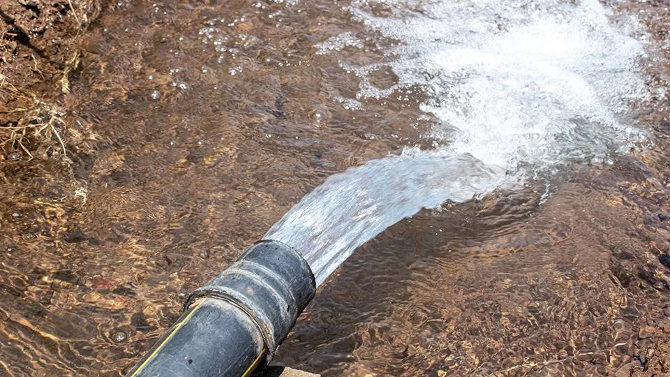 Фото: istockphoto.com