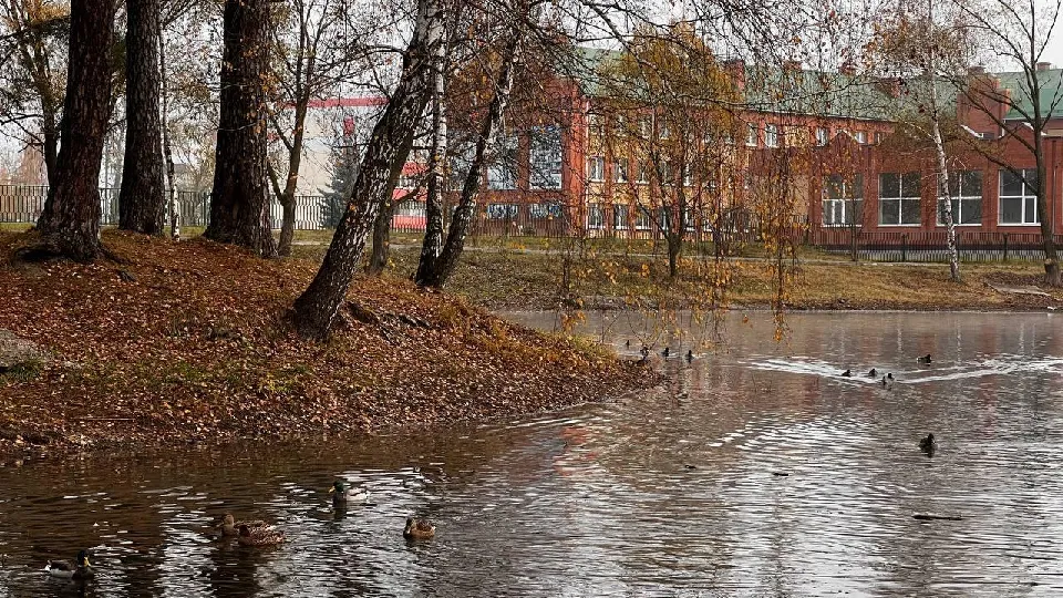 Фото: пресс-служба администрации г.о. Коломна