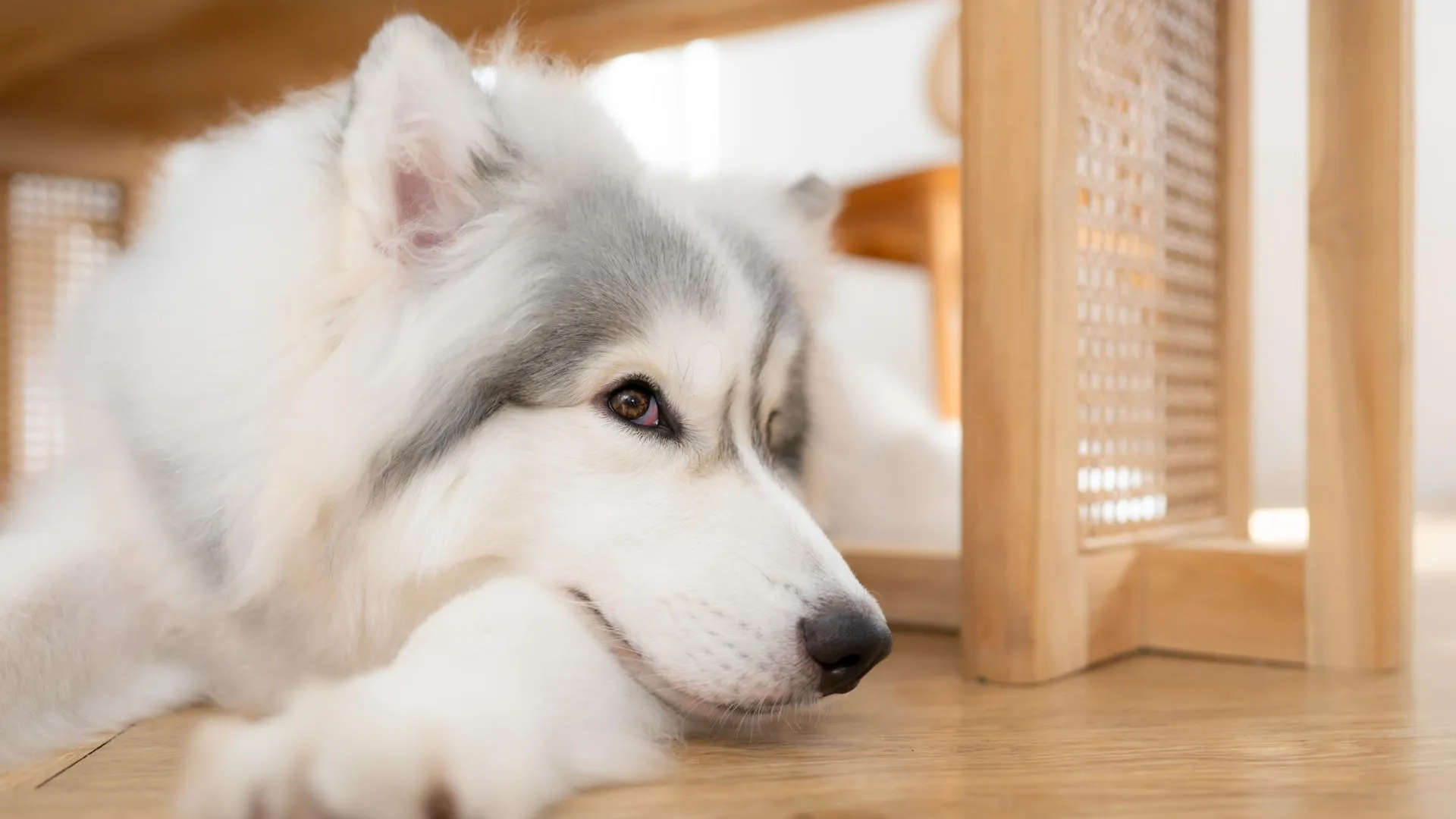 Wosunan Photostory/Ingram Images