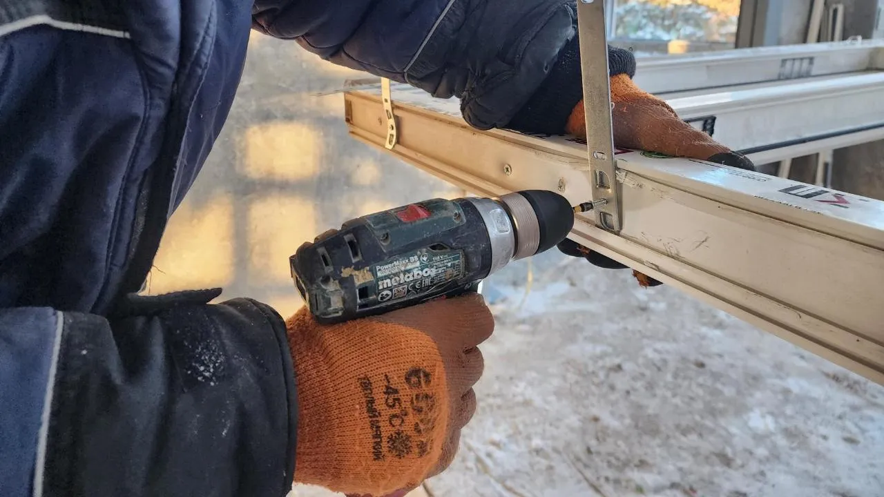 REGIONS/Мария Шигорева