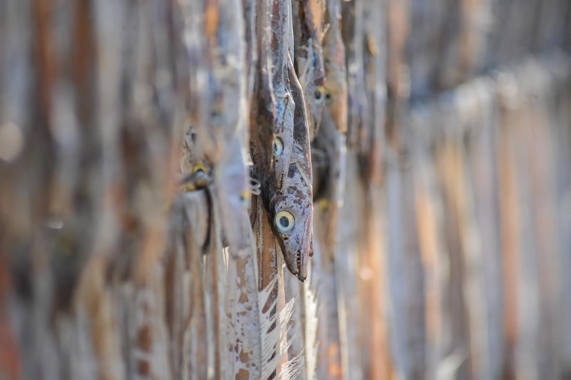 Md Rafayat Haque Khan/Keystone Press Agency